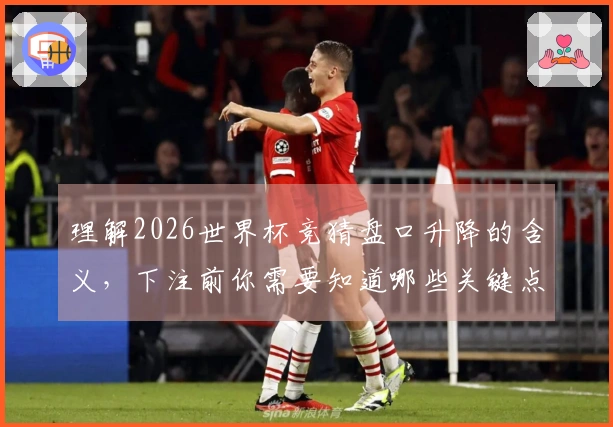理解2026世界杯竞猜盘口升降的含义,下注前你需要知道哪些关键点?