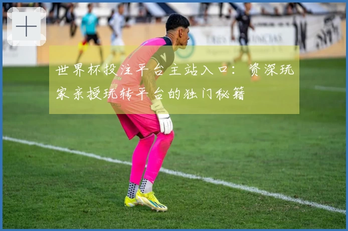 世界杯投注平台主站入口：资深玩家亲授玩转平台的独门秘籍
