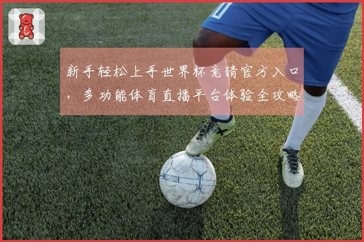 新手轻松上手世界杯竞猜官方入口，多功能体育直播平台体验全攻略