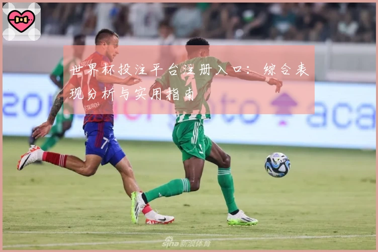 世界杯投注平台注册入口：综合表现分析与实用指南