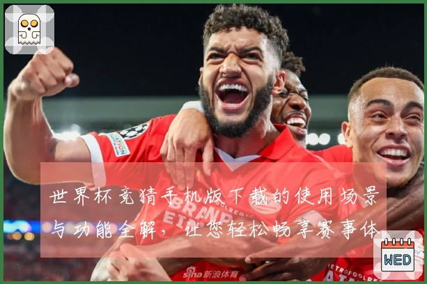 世界杯竞猜手机版下载的使用场景与功能全解，让您轻松畅享赛事体验