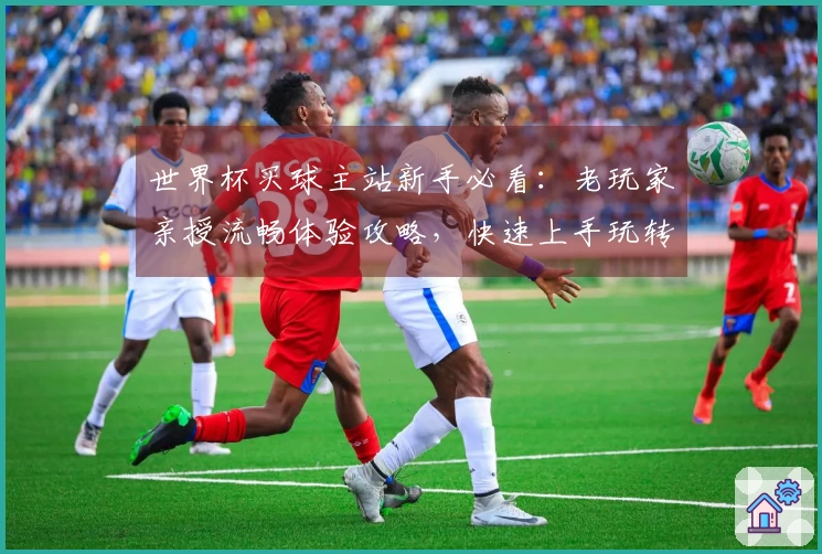 世界杯买球主站新手必看：老玩家亲授流畅体验攻略，快速上手玩转精彩赛事直播