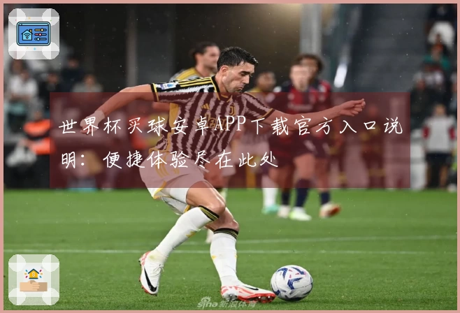 世界杯买球安卓APP下载官方入口说明：便捷体验尽在此处