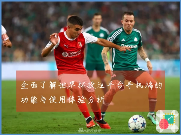 全面了解世界杯投注平台手机端的功能与使用体验分析