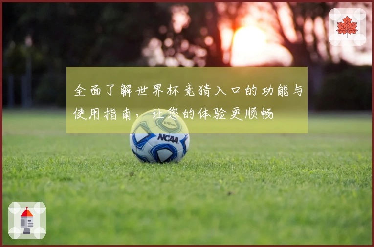 全面了解世界杯竞猜入口的功能与使用指南，让您的体验更顺畅