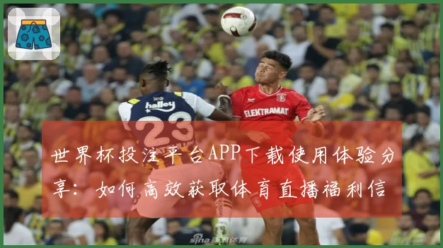 世界杯投注平台APP下载使用体验分享:如何高效获取体育直播福利信息