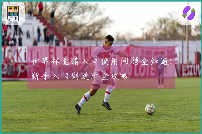 世界杯竞猜入口使用问题全知道：新手入门到进阶全攻略