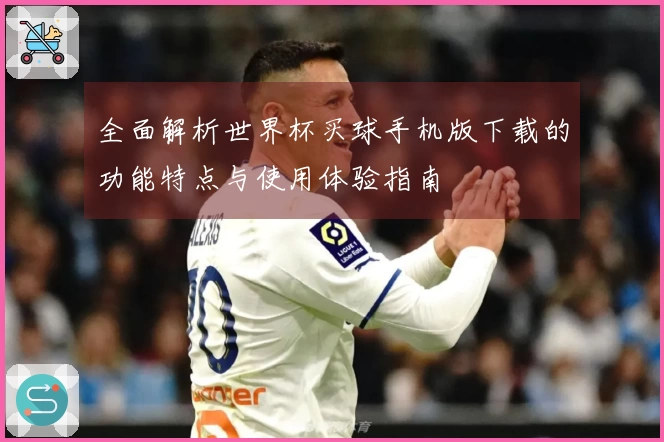 全面解析世界杯买球手机版下载的功能特点与使用体验指南