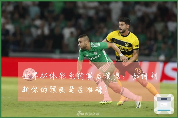 世界杯体彩竞猜赛后复盘，如何判断你的预测是否准确？
